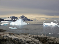 Айсберги в у побережья Антарктиды